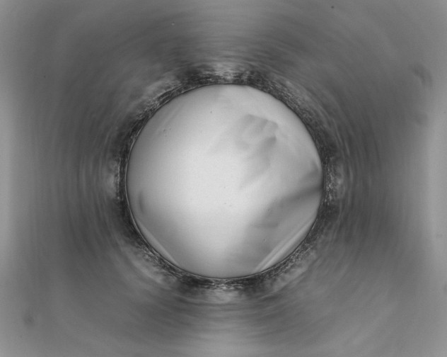 X0000111660656200907311139