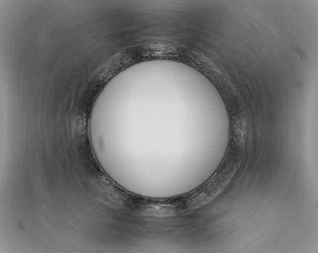 X0000111660657200907311139