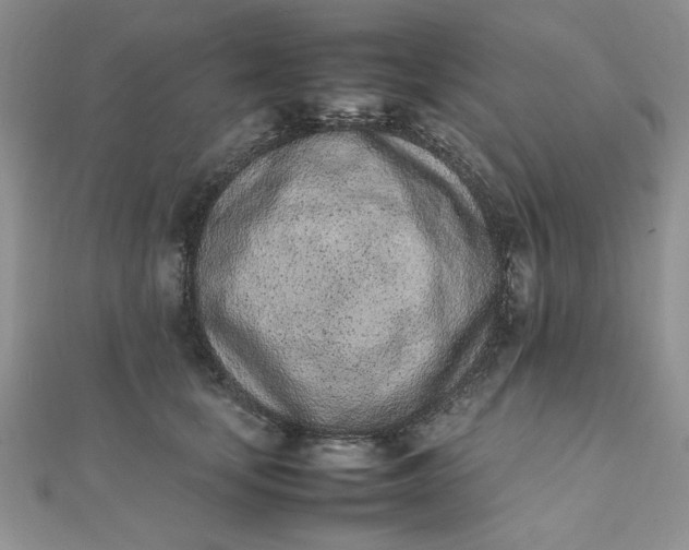 X0000111660659200907311139