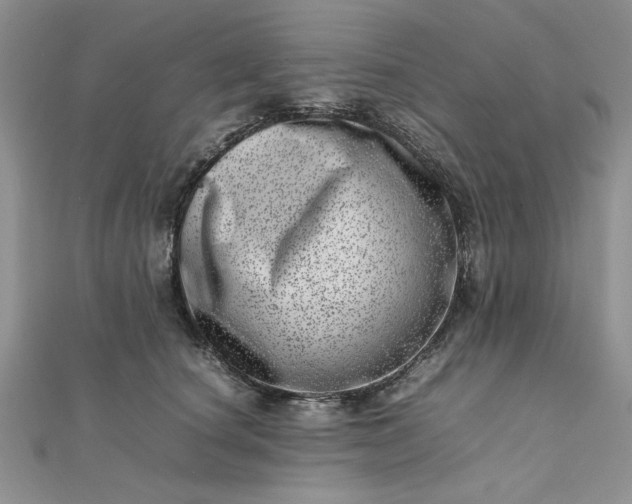 X0000111660660200907311139