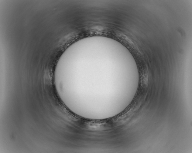 X0000111660661200907311139