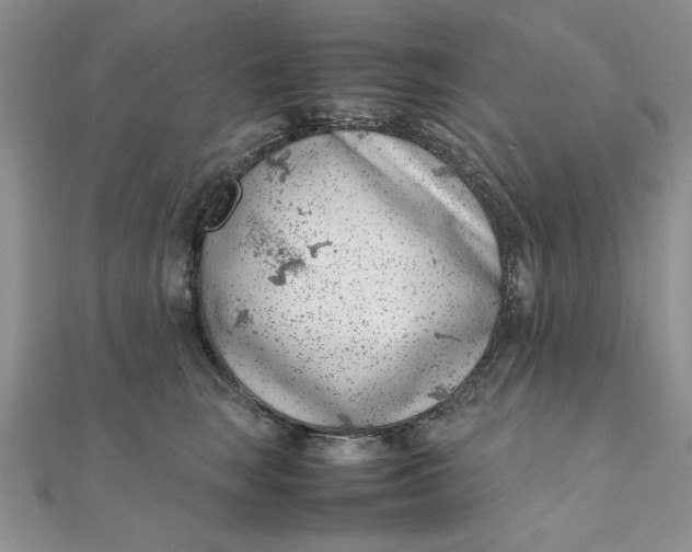 X0000111660663200907311139