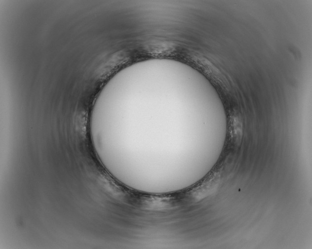 X0000111660664200907311139