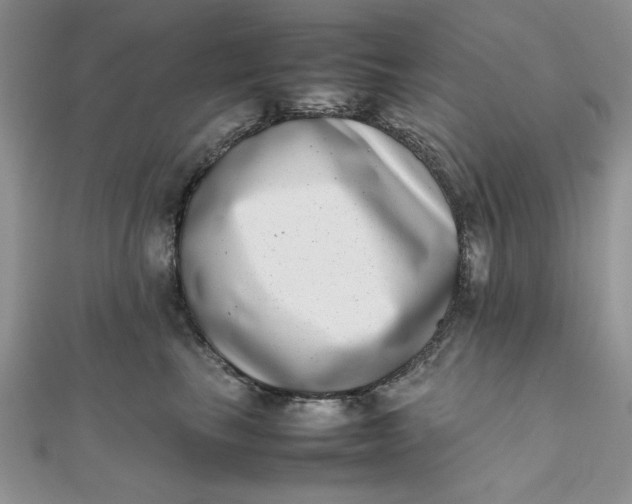 X0000111660665200907311139