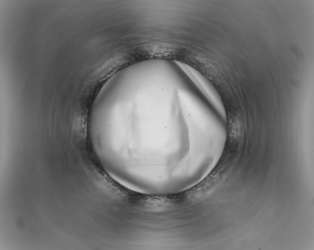 X0000111660666200907311139