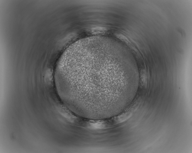 X0000111660667200907311139