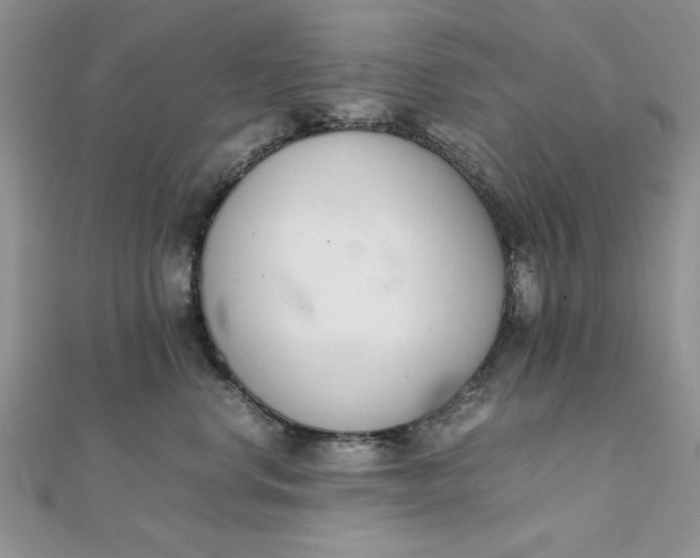 X0000111660668200907311139