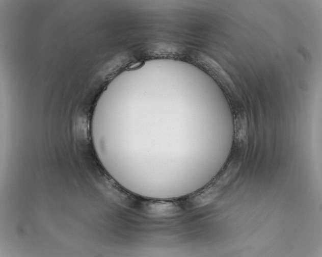 X0000111660669200907311139