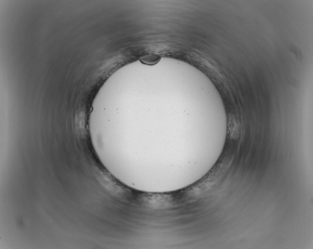 X0000111660670200907311139