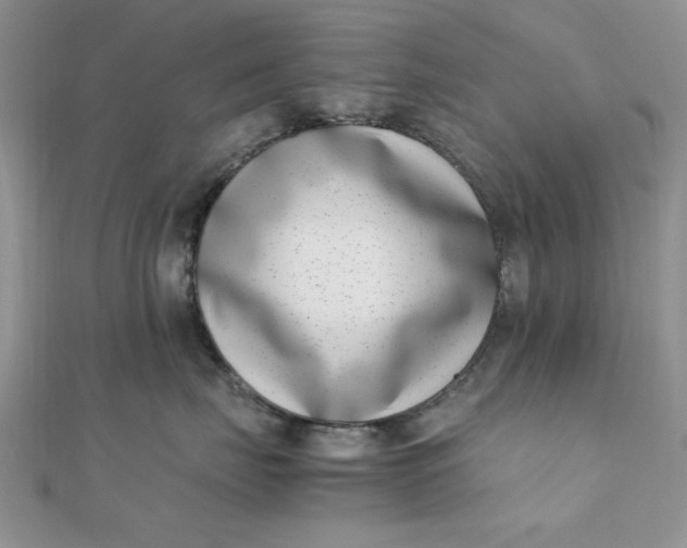 X0000111660671200907311139