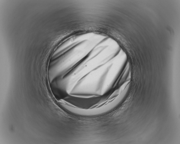 X0000111660673200907311138