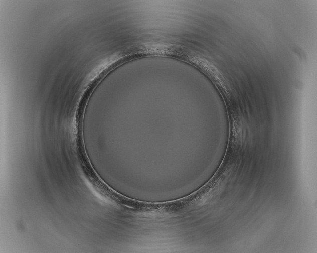 X0000111660674200907311138