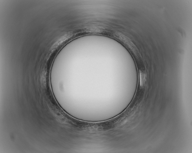 X0000111660675200907311138