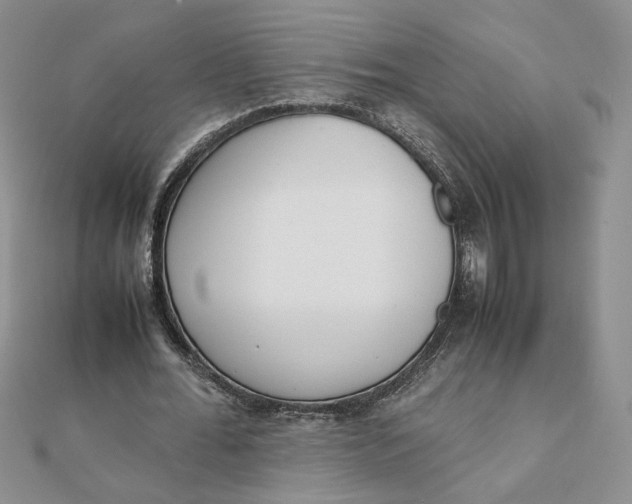 X0000111660676200907311138