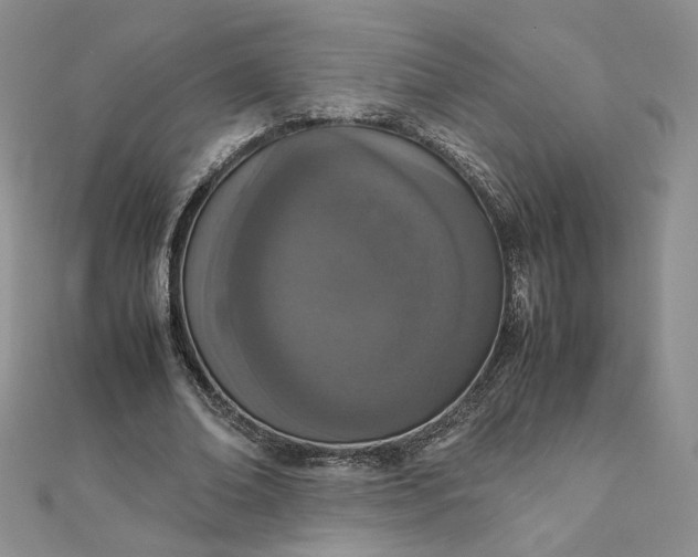 X0000111660678200907311138