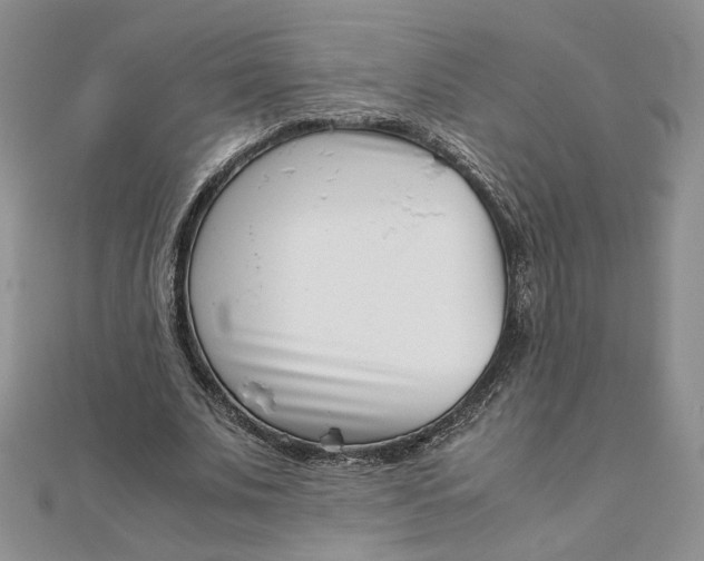 X0000111660679200907311138