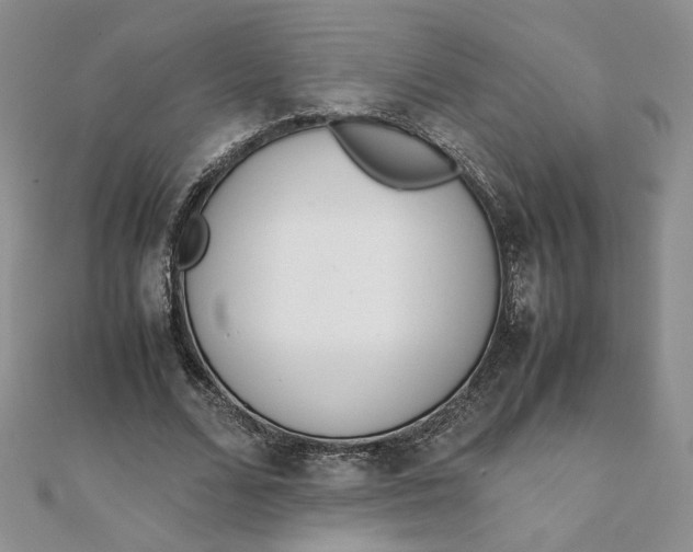 X0000111660680200907311138