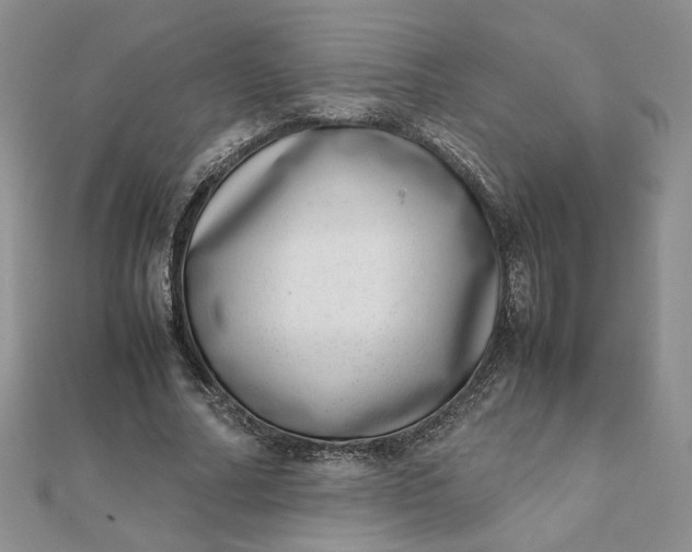 X0000111660682200907311138