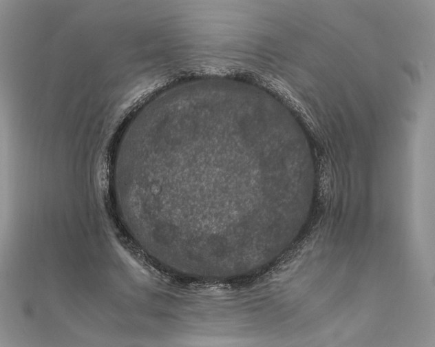 X0000111660683200907311138