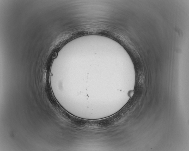 X0000111660685200907311138