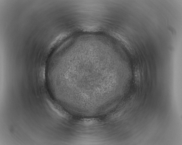 X0000111660686200907311138