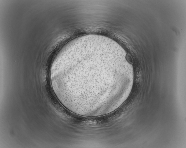 X0000111660687200907311138