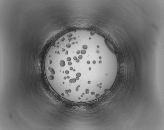 X0000111660688200907311138