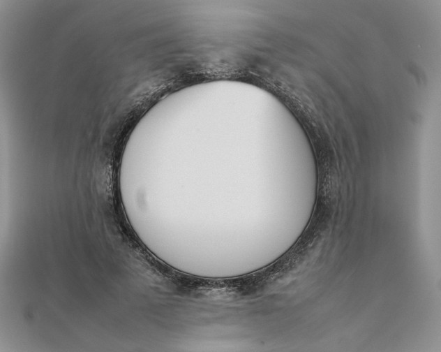 X0000111660689200907311138