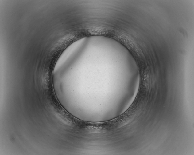 X0000111660690200907311138