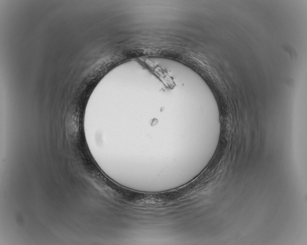 X0000111660691200907311138