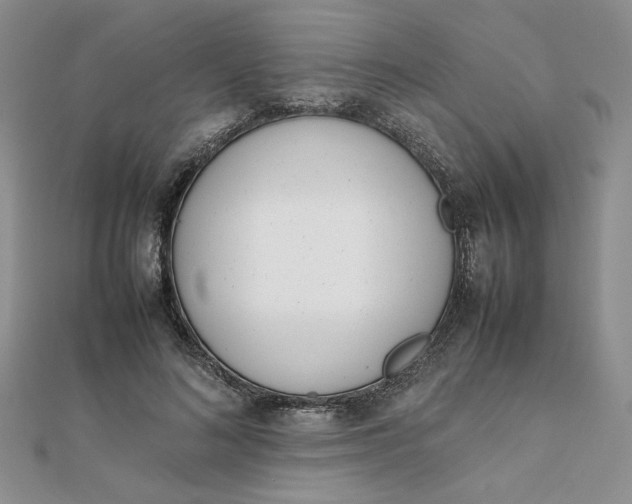 X0000111660692200907311138