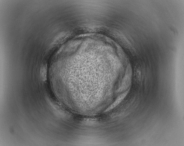 X0000111660694200907311138