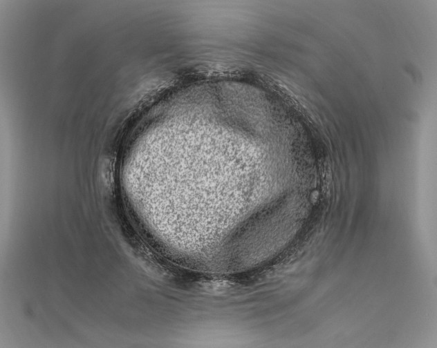 X0000111660695200907311138