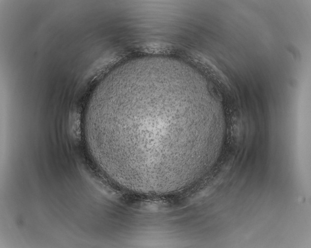 X0000111660696200907311138