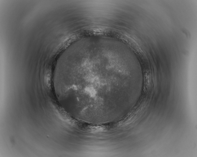 X0000111660698200907311138