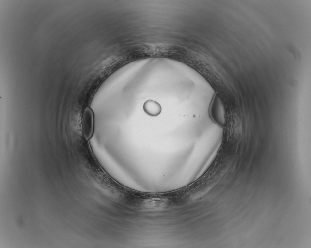 X0000111660700200907311138