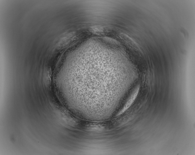 X0000111660702200907311138