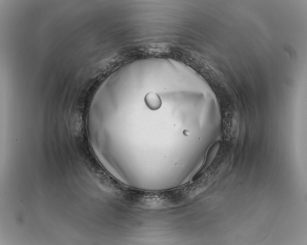 X0000111660704200907311138