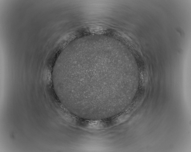 X0000111660705200907311138