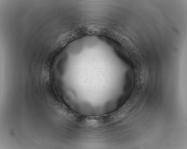 X0000111660706200907311138