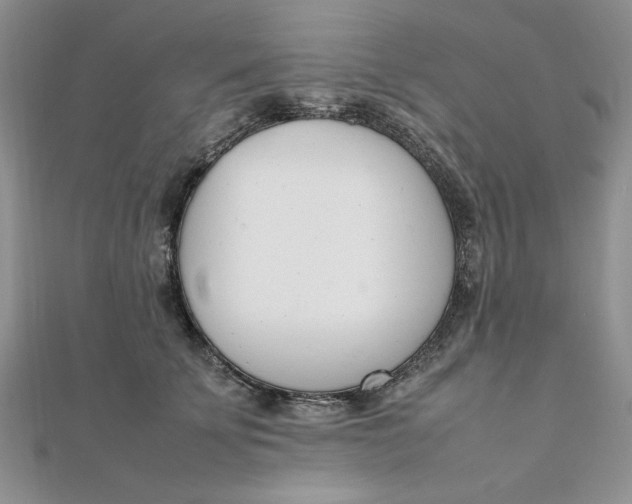 X0000111660707200907311138