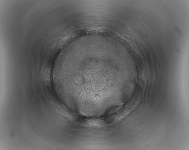 X0000111660708200907311138