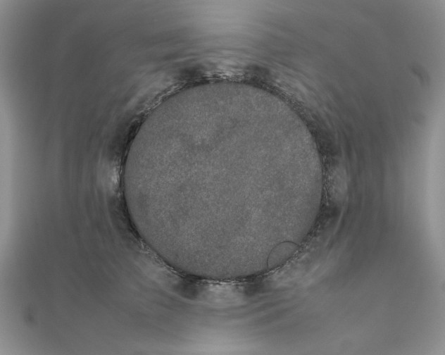 X0000111660709200907311138