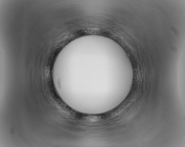 X0000111660711200907311138