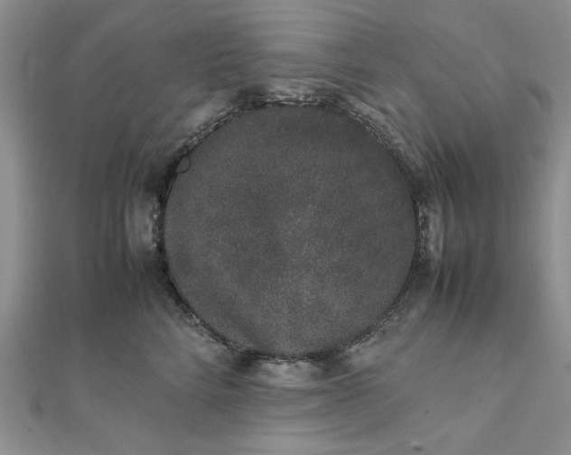 X0000111660712200907311138