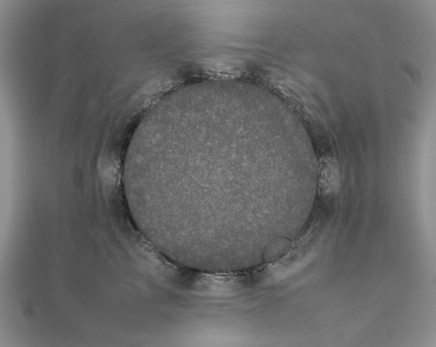 X0000111660713200907311138