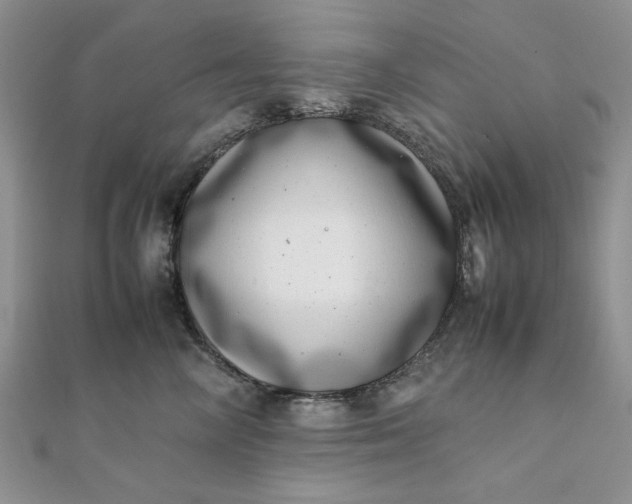 X0000111660714200907311138