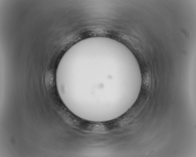 X0000111660715200907311138