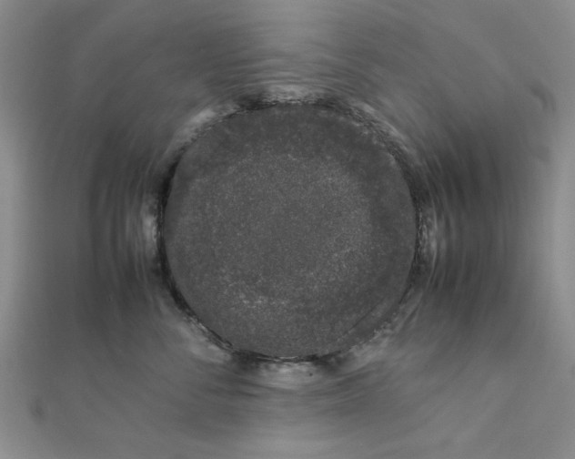 X0000111660716200907311138