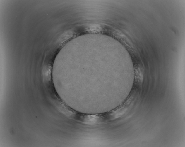 X0000111660717200907311138